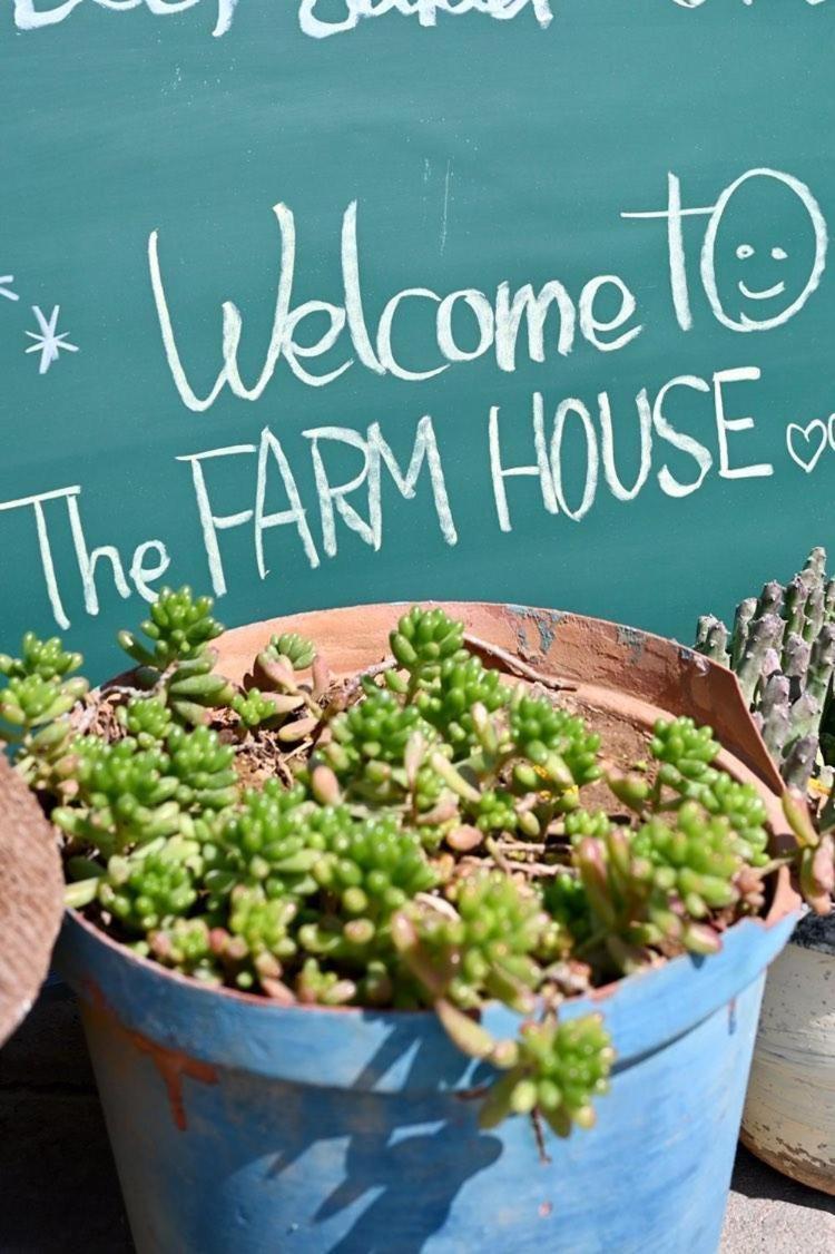 The Farmhouse Boutique Guesthouse And Beergarden Cc Outjo Εξωτερικό φωτογραφία